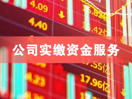 沙河公司实缴资金服务